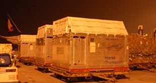 Quy trình xuất khẩu